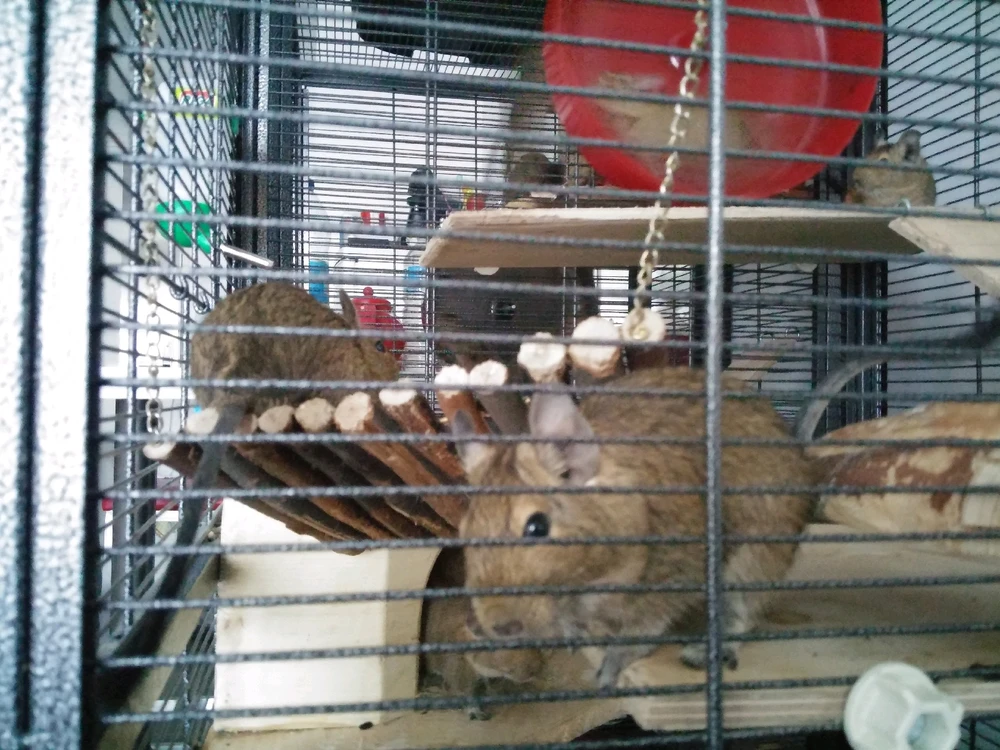 Image ajoutée par Jean-Guillaume