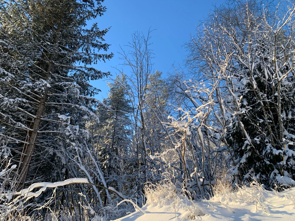 Image uploaded by Cecilie