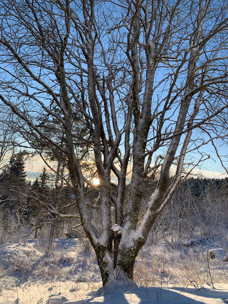 Image uploaded by Cecilie