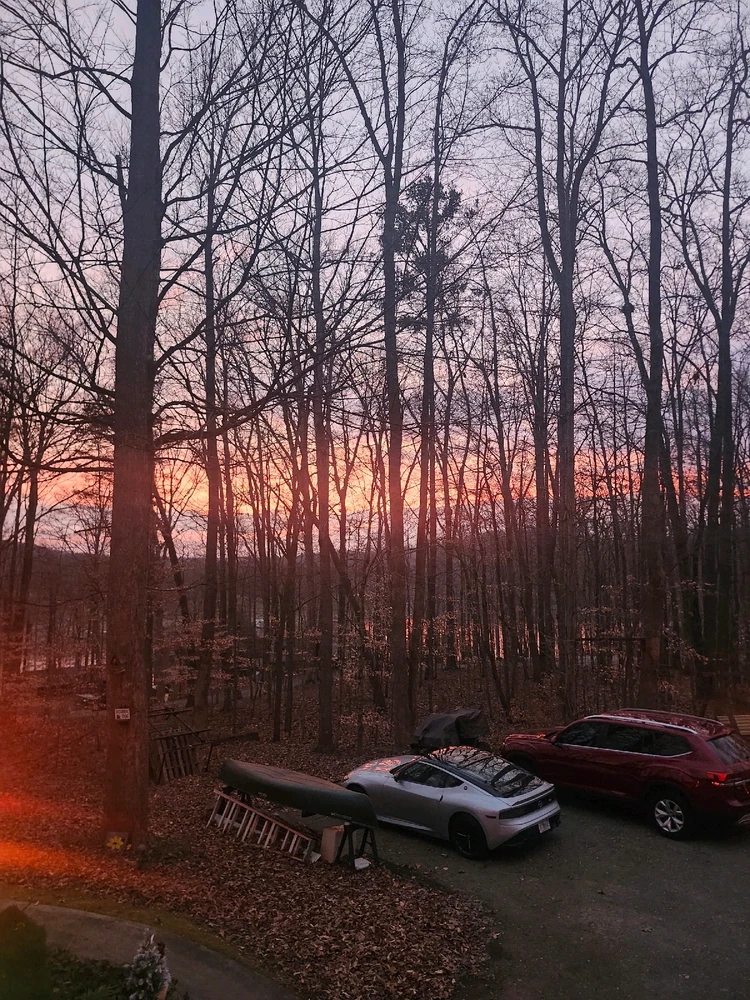 My Aunts cabin
