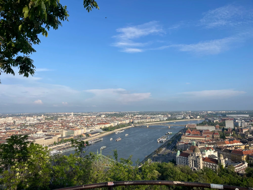 Image uploaded by Yogesh