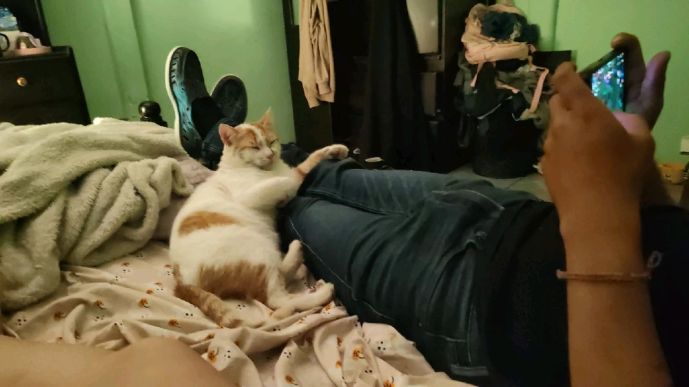 Imagen subida por Jacqueline