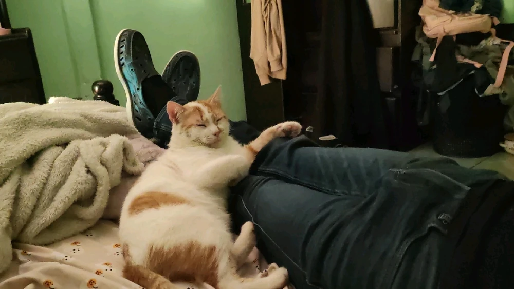 Imagen subida por Jacqueline