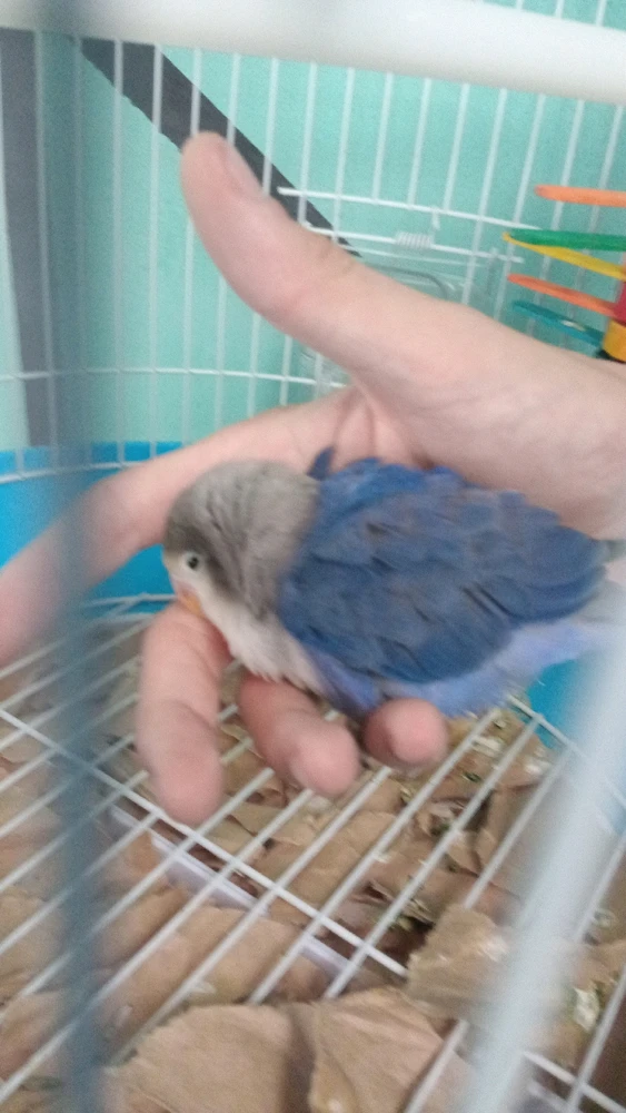 GIF diunggah dening Kevin