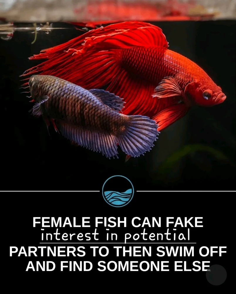 Image uploaded by Jacqueline