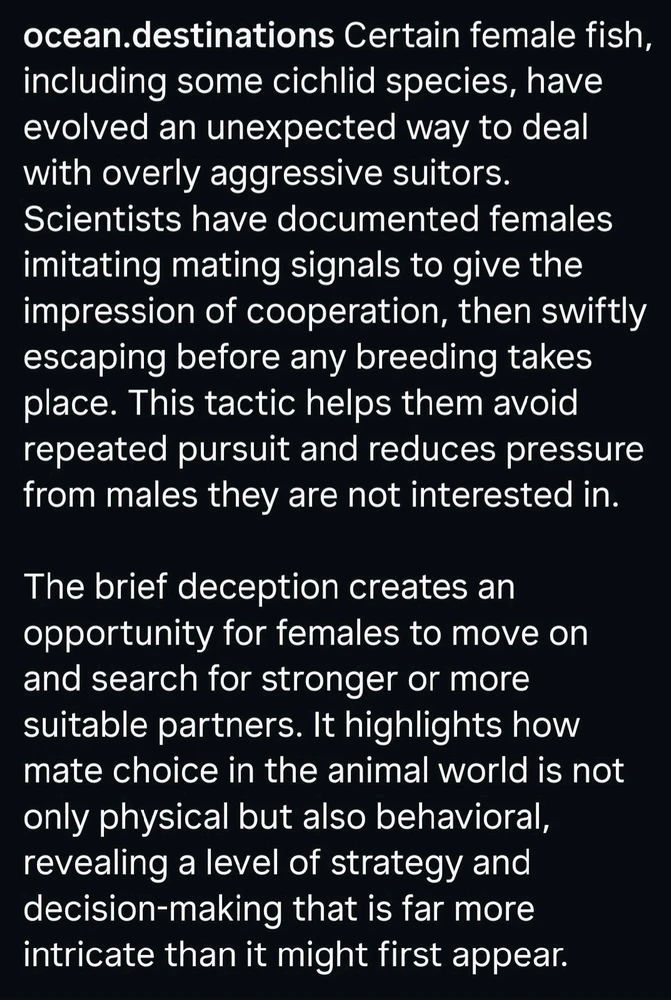 Image uploaded by Jacqueline