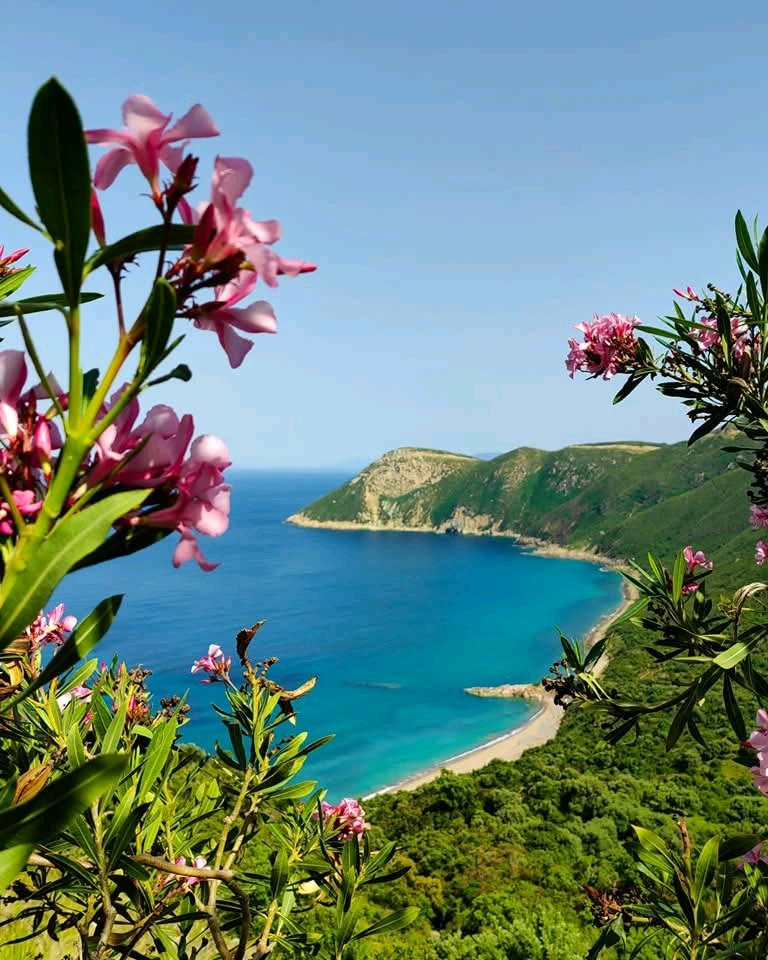 GIF ajouté par Amine