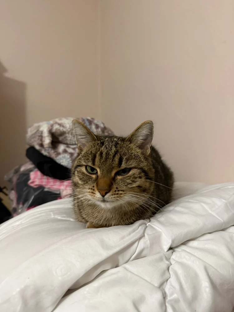 Zdjęcie dodane przez Karolina