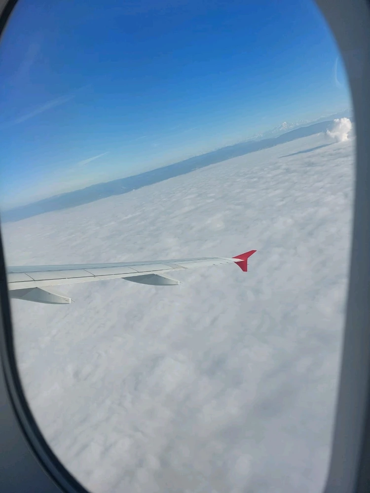 GIF ajouté par Yass