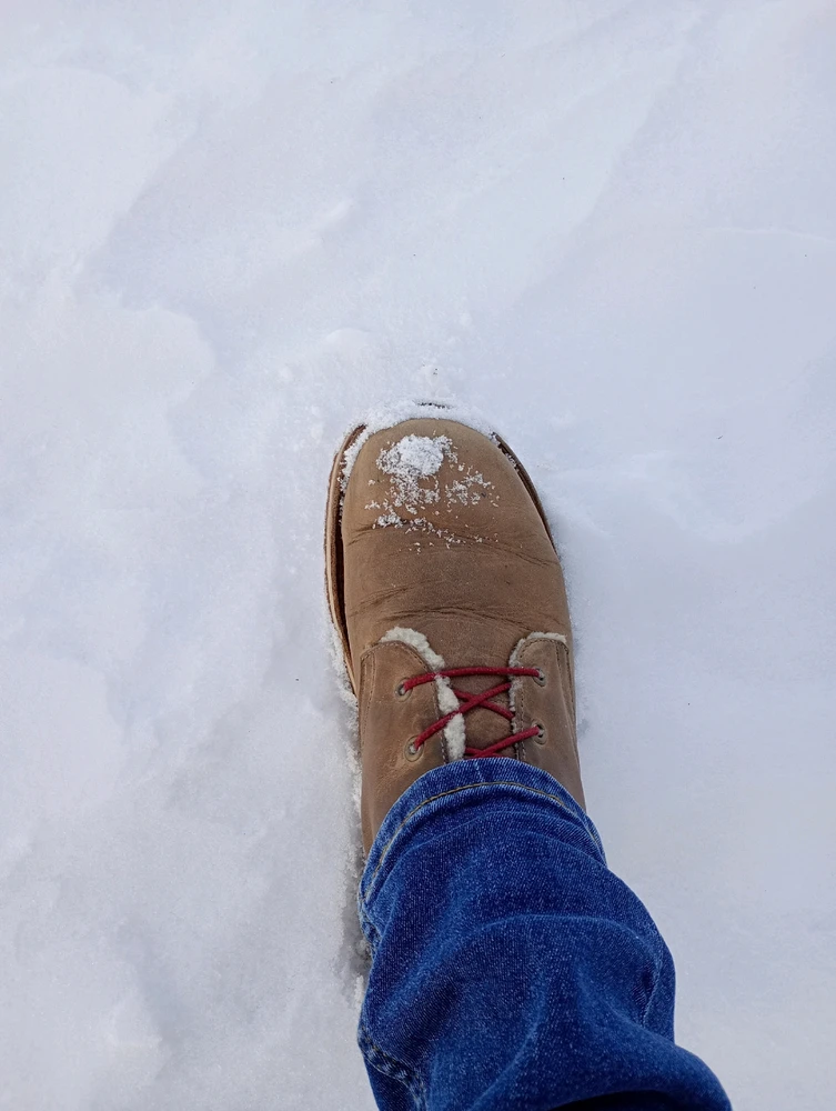 GIF uploaded by Nicki