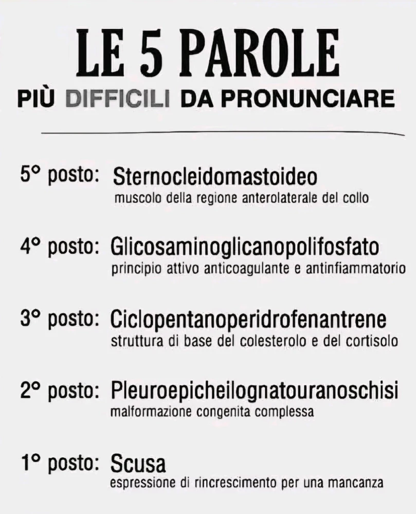 GIF caricata da Loris (Cookie)