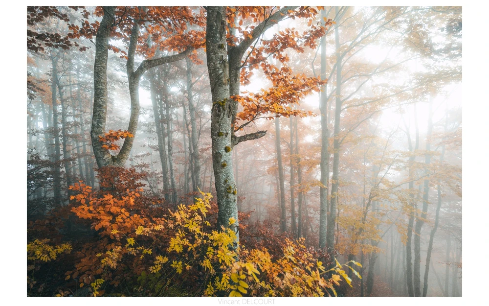 Image ajoutée par Vincent