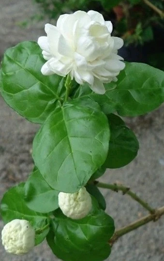 GIF uploaded by 𝑨𝒏𝒆𝒆𝒍..