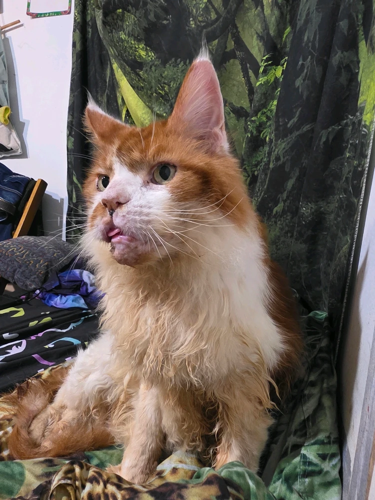 GIF dodany przez Umberto