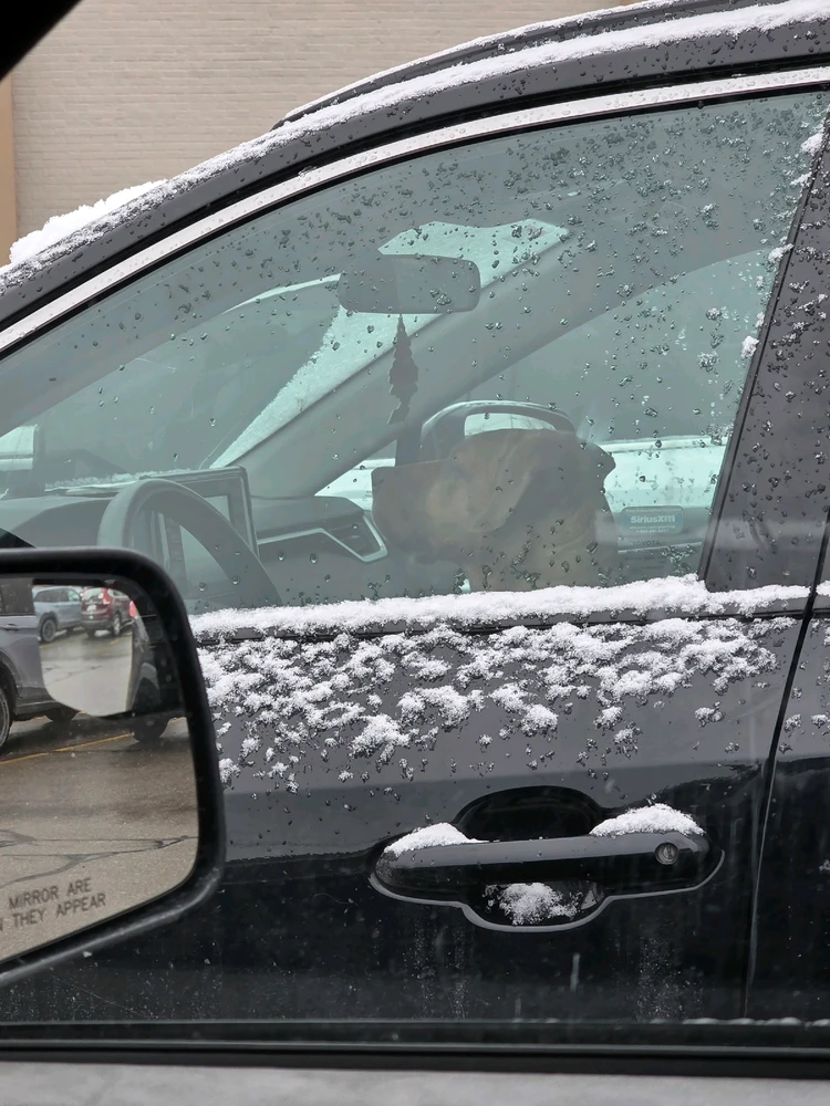 GIF uploaded by RaulR