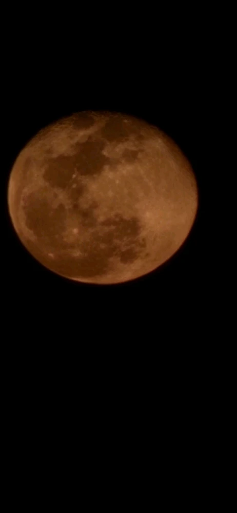 Image uploaded by Steven