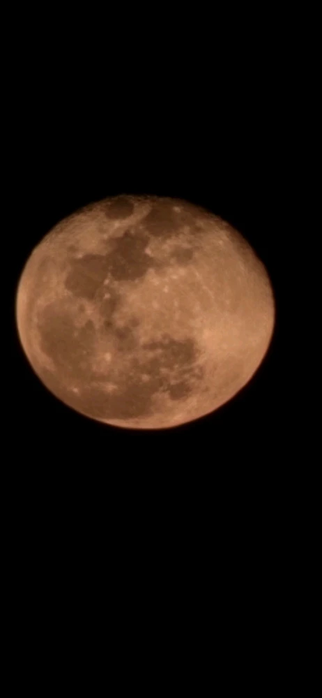 Image uploaded by Steven