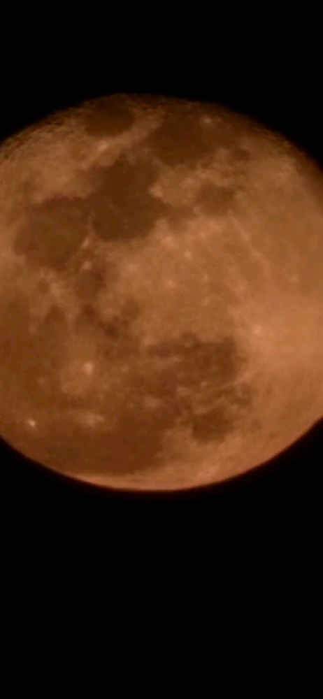 Image uploaded by Steven