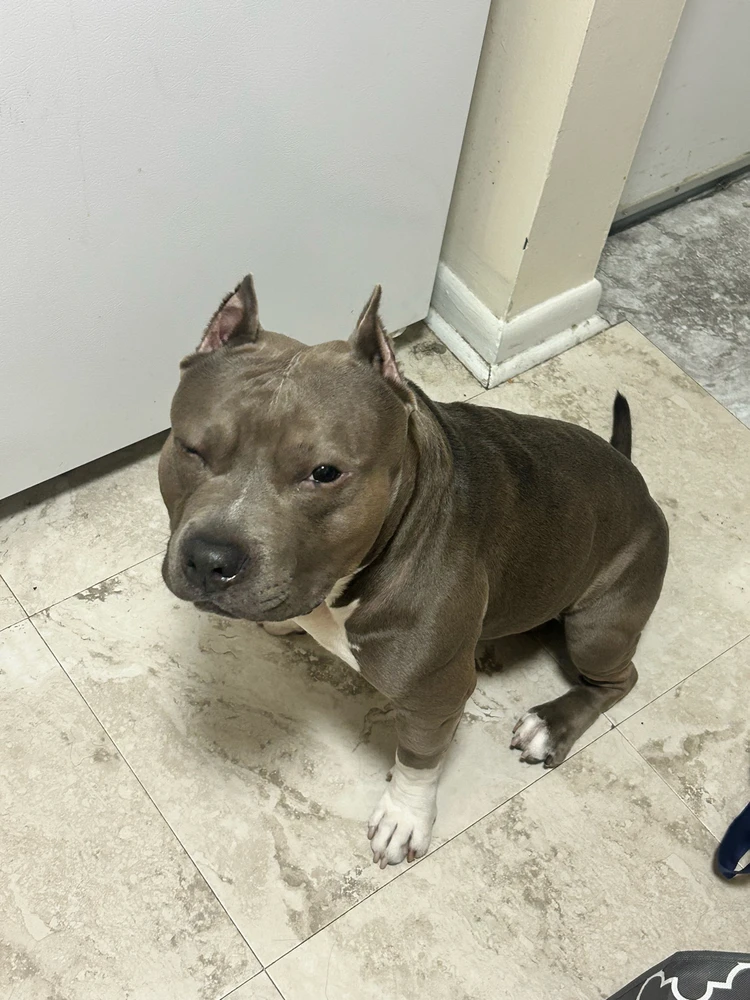 Image uploaded by justin