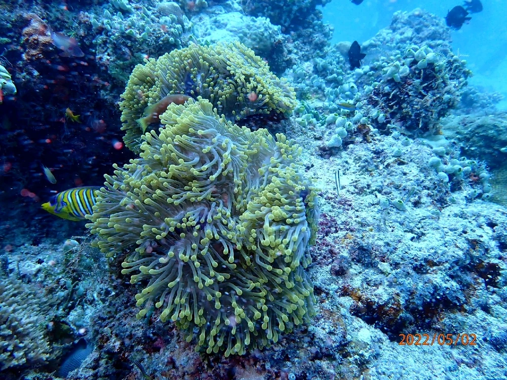 Image ajoutée par Pierre