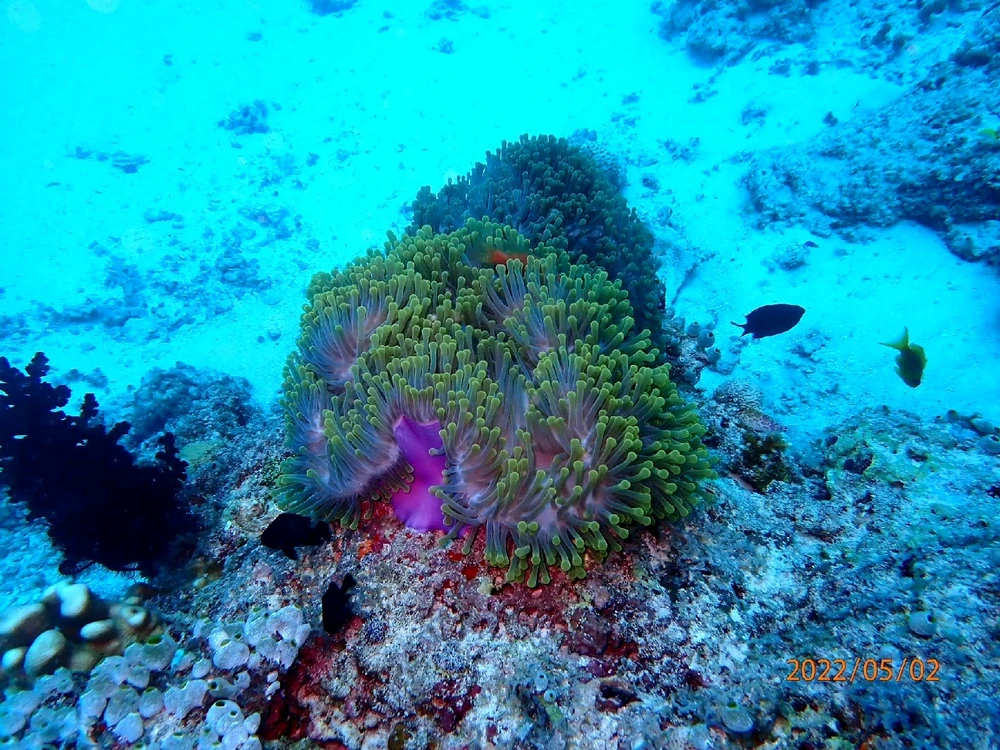 Image ajoutée par Pierre