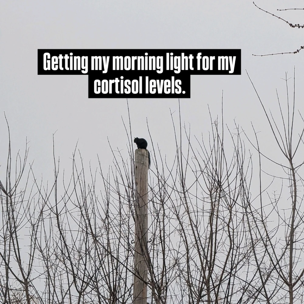 GIF uploaded by Daniel