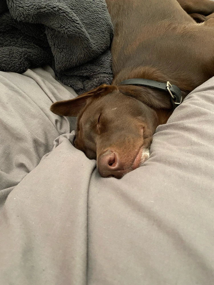 GIF uploaded by Joshua