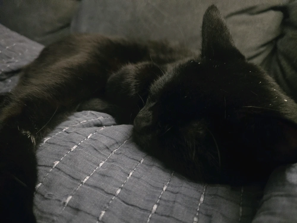 GIF uploaded by Matthew