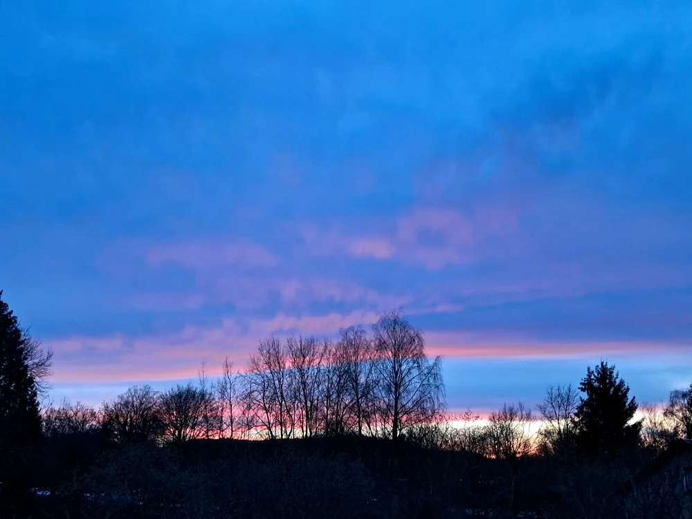 Image ajoutée par Angélique