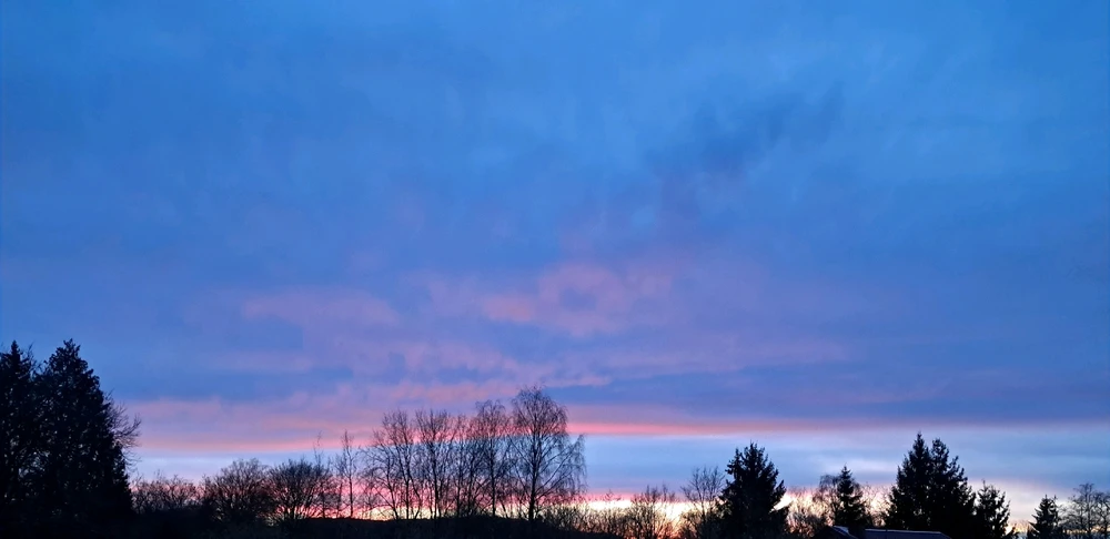 Image ajoutée par Angélique