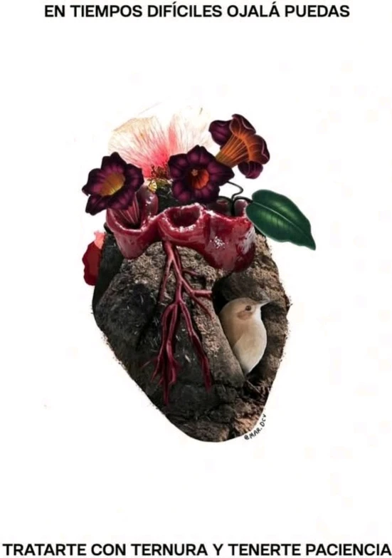 Imagen subida por Estrella