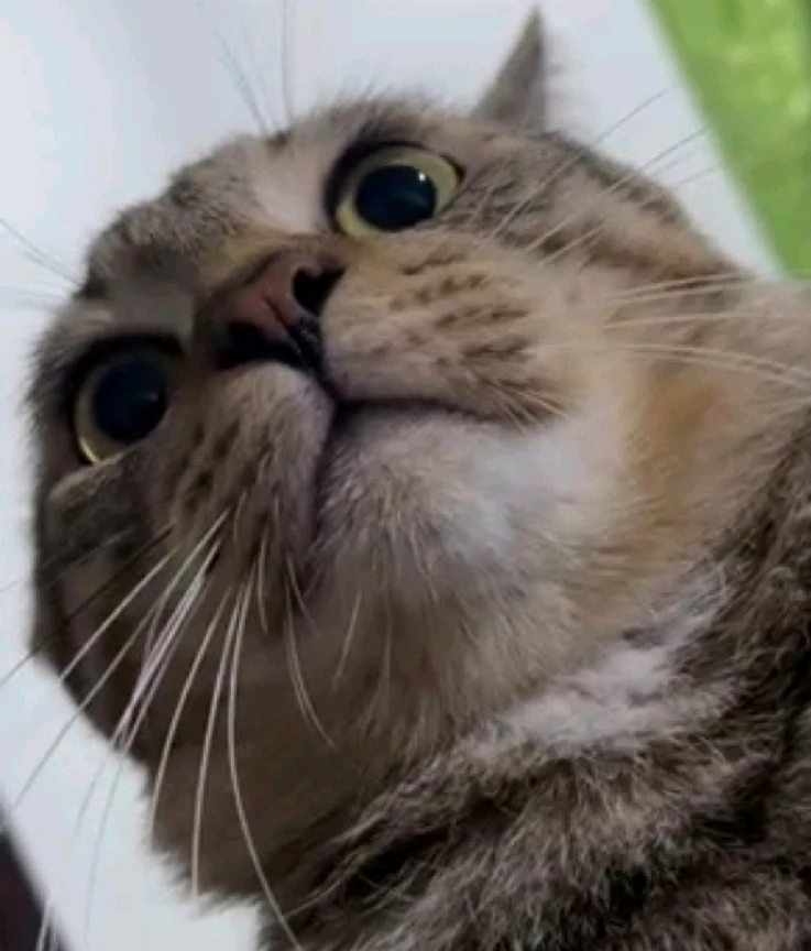 GIF uploaded by Linda