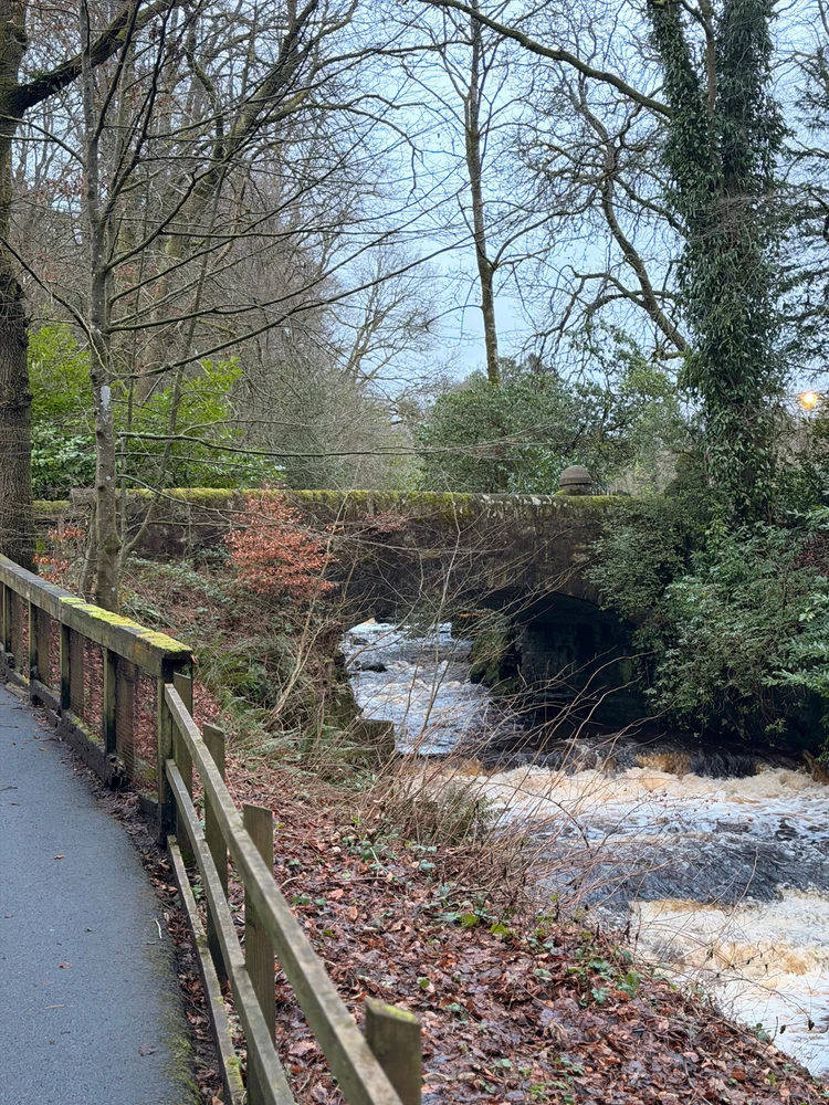 Gambar diunggah dening Sondre