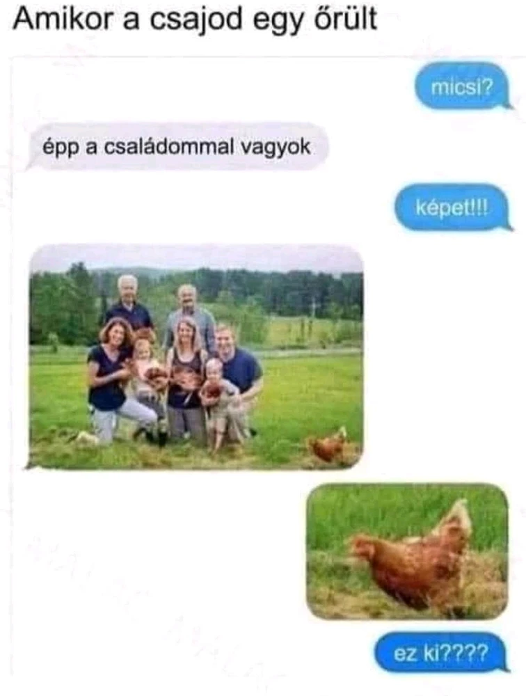 Gábor által feltöltött GIF