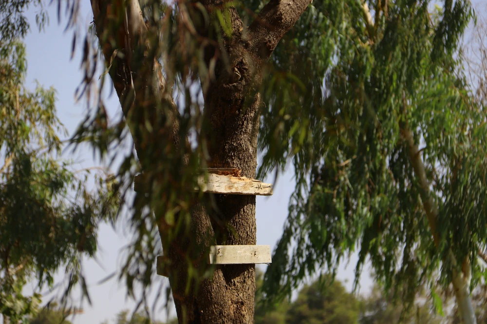 Image uploaded by adi