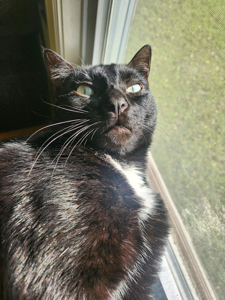 Image uploaded by Crystal