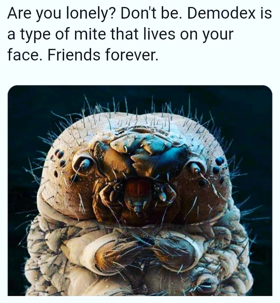 GIF hochgeladen von Vik