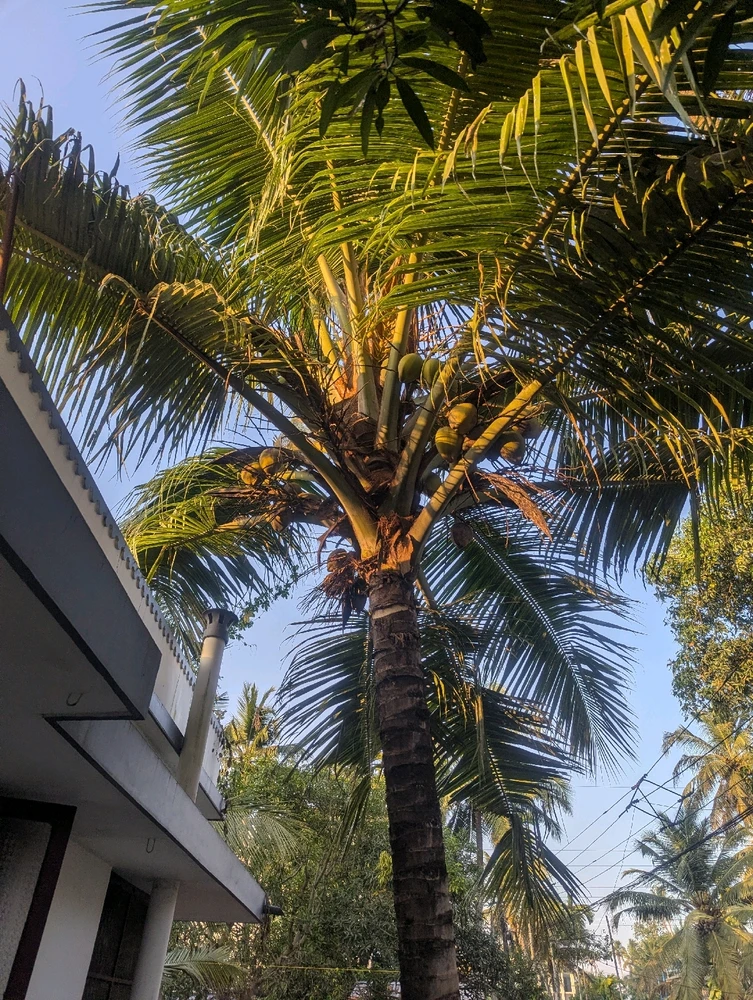 GIF uploaded by Shimal