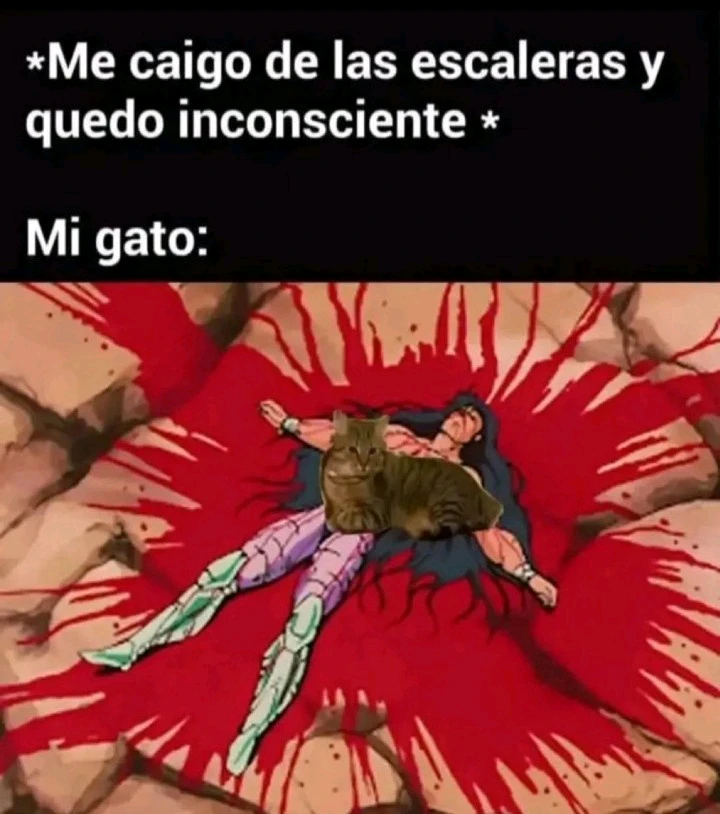 GIF subido por Rodrigo