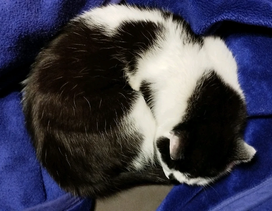 GIF dodany przez Gamahasi