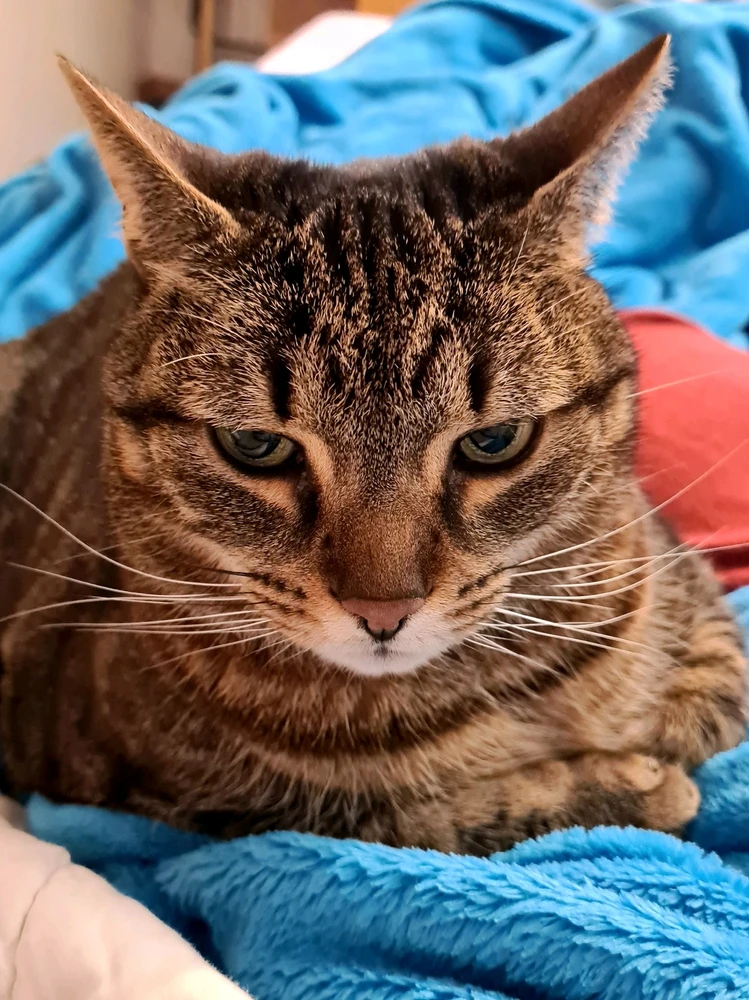 GIF hochgeladen von Doris