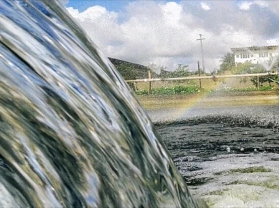 Imagem enviada por Rob