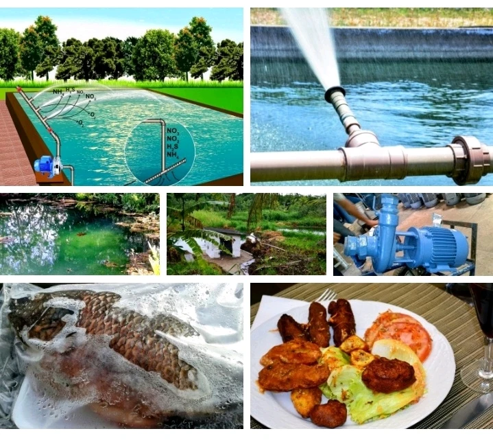 Imagem enviada por Rob