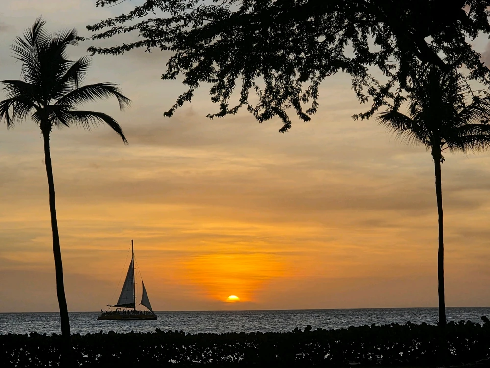 Image uploaded by RaulR