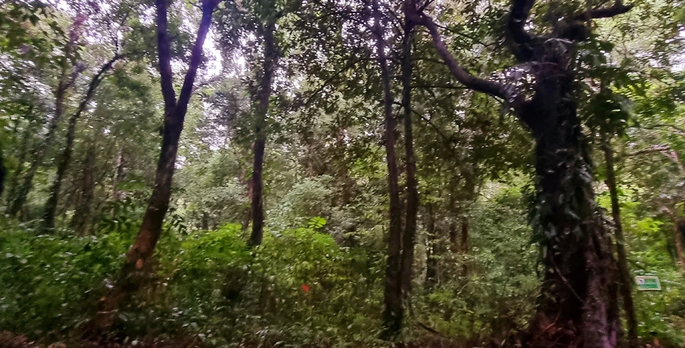 Image uploaded by Ateng