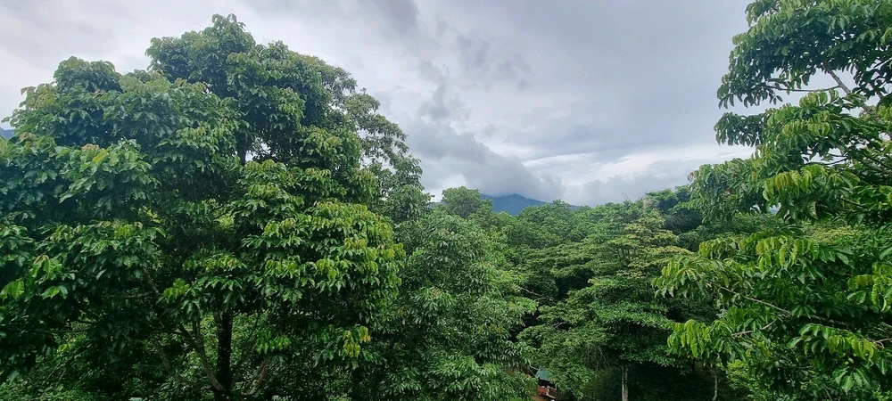 Image uploaded by Ateng