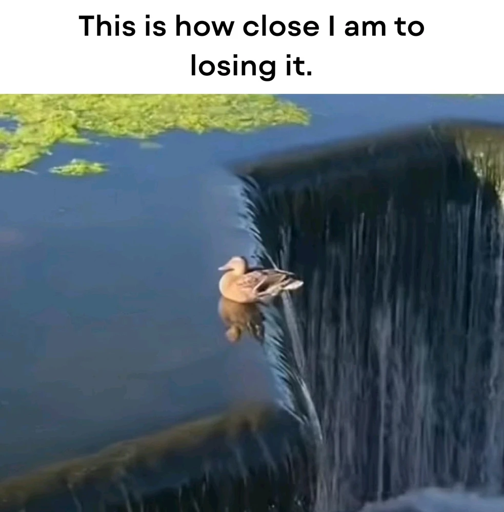 GIF uploaded by Andy