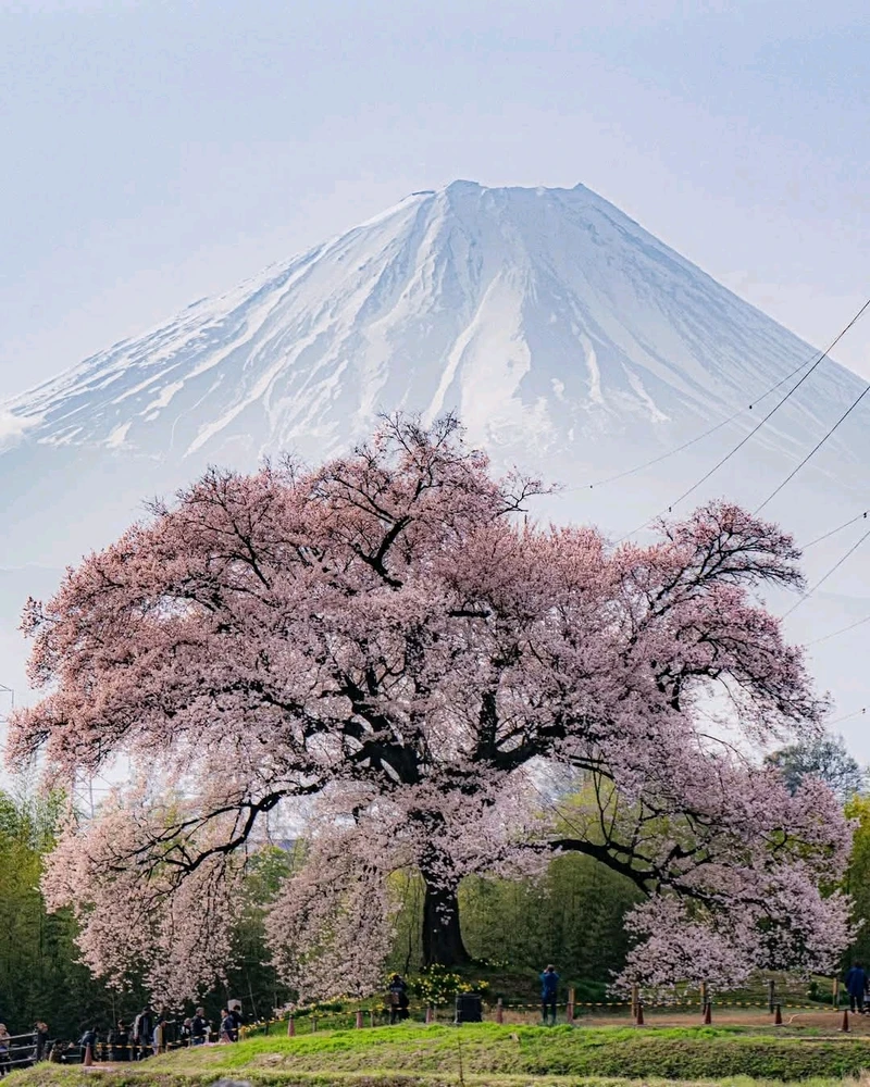 GIF ajouté par Stef