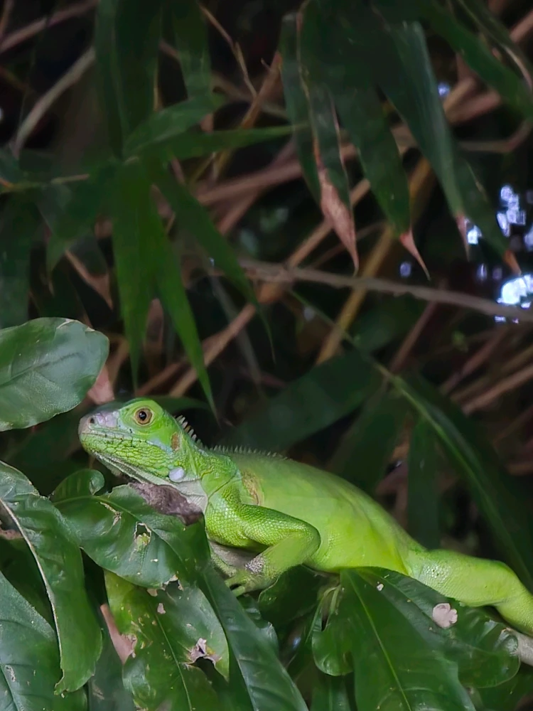 GIF uploaded by Frank