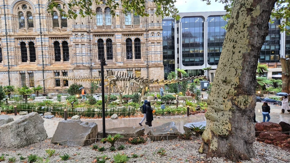 Imagem enviada por Henrique